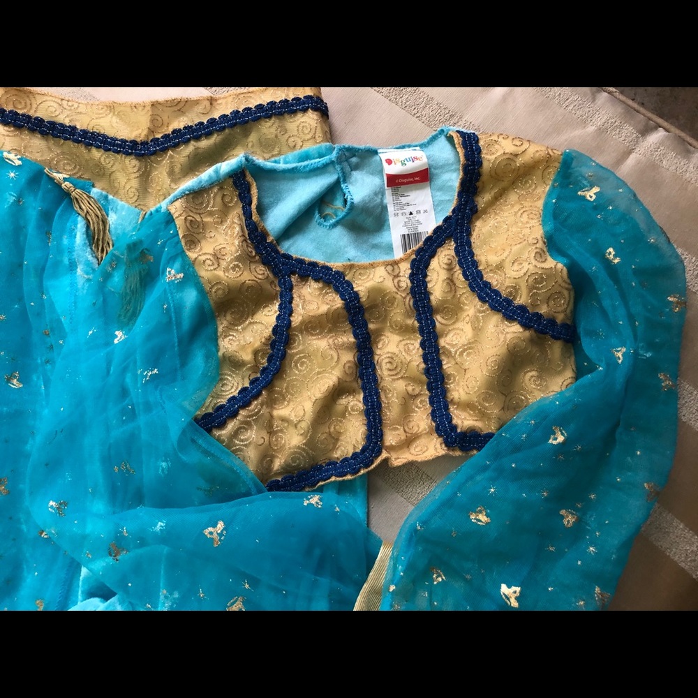 Jasmine costume